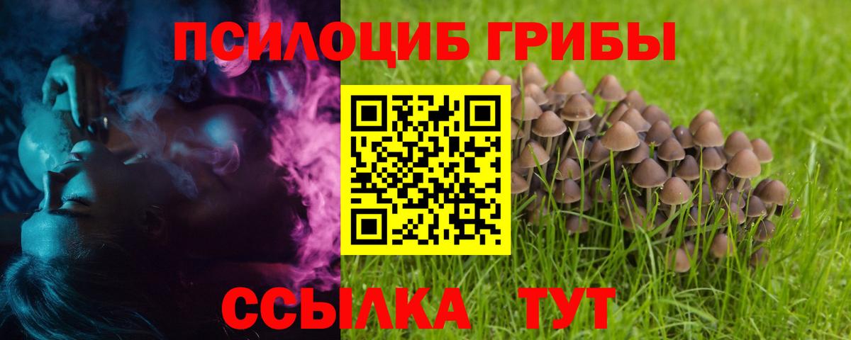 закладка  Псилоцибиновые грибы Magic Shrooms  Вход с VPN  Чайковский  Галлюциногенные грибы GOLDEN TEACHER 